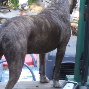 Meet your Posher, Randall